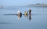 Nét đẹp phụ nữ Việt Nam qua 
